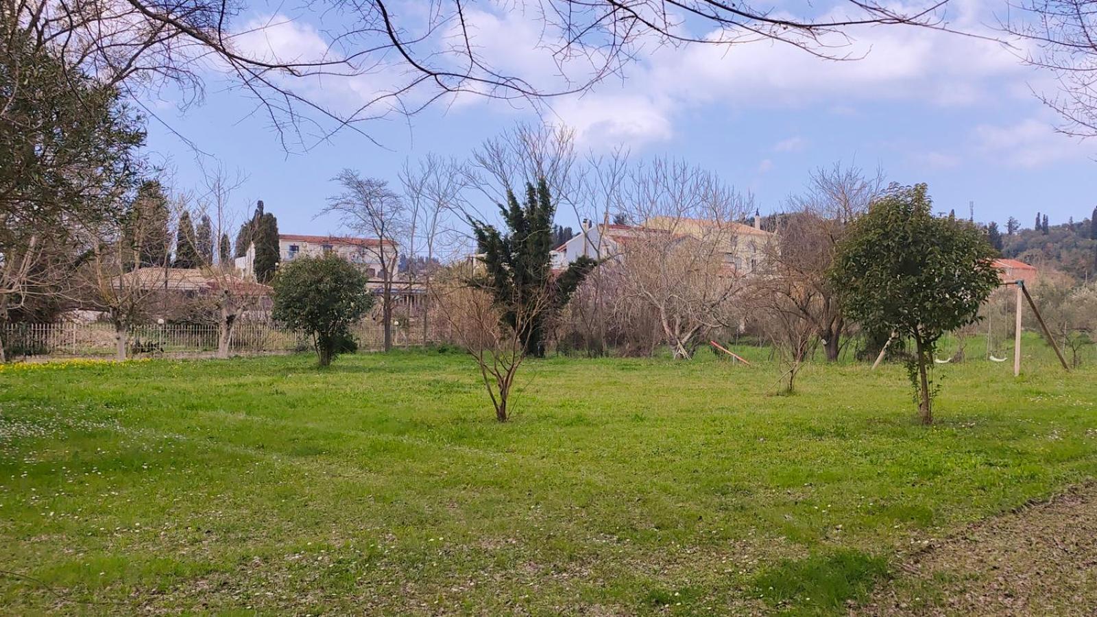 Condesa Сидарион